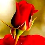 munabhai_sankharva profile picture