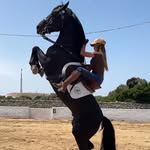 mundoacaballotv profile picture