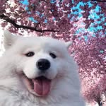 mundo_asombros26 profile picture
