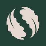 mundosalad profile picture