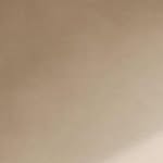 mune_architecture profile picture