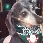 munecaaldarondo profile picture