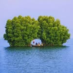 munroetourism profile picture