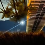 murchroomfarms_ profile picture