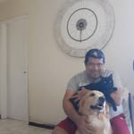 murilo.silveira.142 profile picture