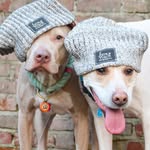 murphyandsissy profile picture
