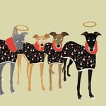 murphybonnieflash_thegreyts profile picture