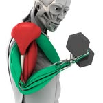 musclematics profile picture