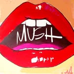 mushbodega profile picture