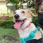 mushhumunnu profile picture
