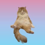 mushroomthesittingcat profile picture