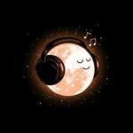 musicalvibe_love profile picture