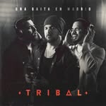 musicatribal profile picture