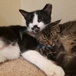 mustacheandmillie profile picture