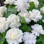 mustafa_saudagar_93 profile picture