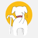 muttvillesf profile picture