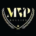 mvp_bullies profile picture