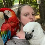 my_flying_fids profile picture