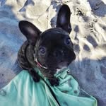my_sweetie_bianca profile picture