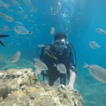 my_travel_with_the_earth profile picture