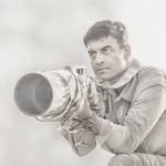 my__wild_life profile picture