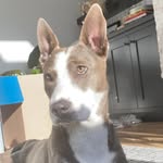 mya.moon.madix profile picture