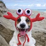 mydogstink profile picture