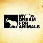 mydreamforanimals profile picture