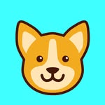 myfavcorgi profile picture