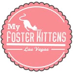 myfosterkittens profile picture