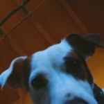 myfriendskipper profile picture
