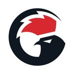 mygamesir profile picture
