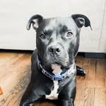 myguyriguy profile picture