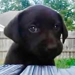 myjackiebrown profile picture