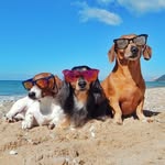 mylesandwillows profile picture