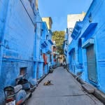 mylovejodhpur profile picture