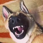 mymayathegsd profile picture