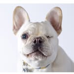 mynameisremington profile picture