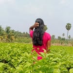 mys_ha122 profile picture