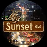 mysunsetblvd profile picture