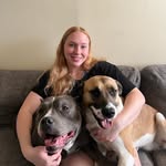 mythologicaldogs profile picture