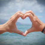 myvacationbuzz profile picture