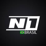 n1glovesbrasil profile picture