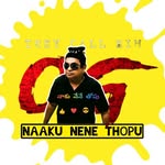 naaku_nene_thopu profile picture