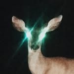nabil profile picture