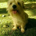 nachitoporotoderio profile picture