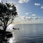 nadroj_landsman profile picture