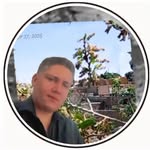 naein_garden_alley profile picture
