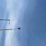 naik_arshad_01 profile picture