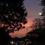 naina.r_ profile picture